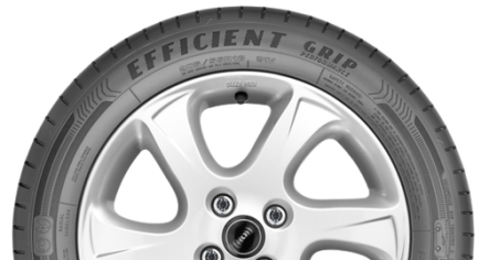 Шины EfficientGrip Performance, фото Эйкос