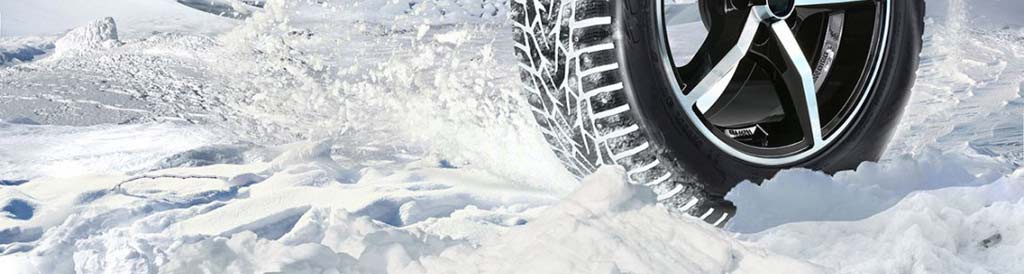Зимние шины Maxxis Premitra Ice Nord NP5, фото Эйкос